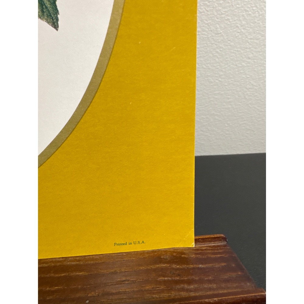 Vintage 1983 Aspelin Art Galleries Bouquets Floral Print Mustard Yellow 733-2 - Picture 4 of 7
